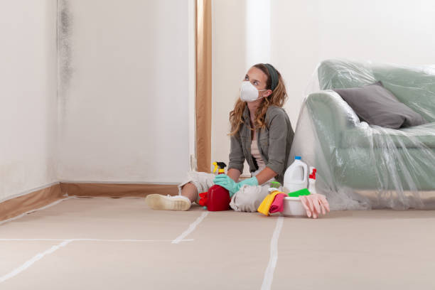 Reliable Basement Mold Removal contractor in Opa-locka, FL by WQB Mold Removal